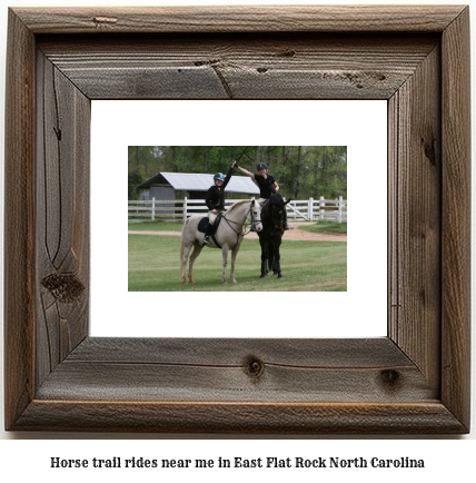 horse trail rides near me in East Flat Rock, North Carolina